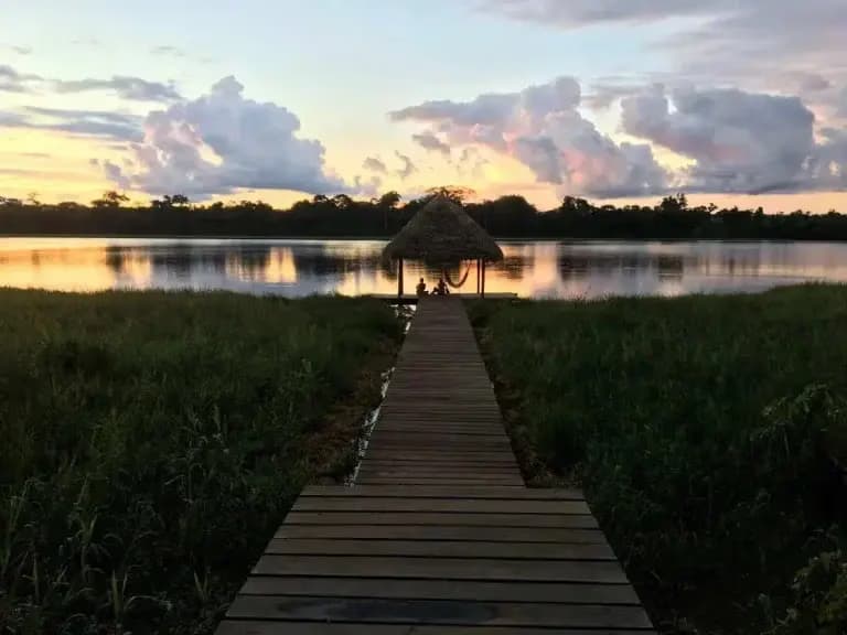 Un Viaje Transformador - Retiro de Ayahuasca en Bolivia